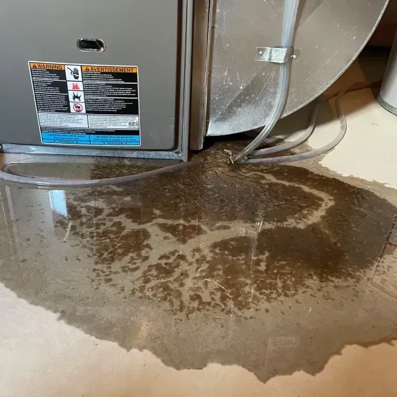 Appliance Leak Cleanup in Orangeburg, NY